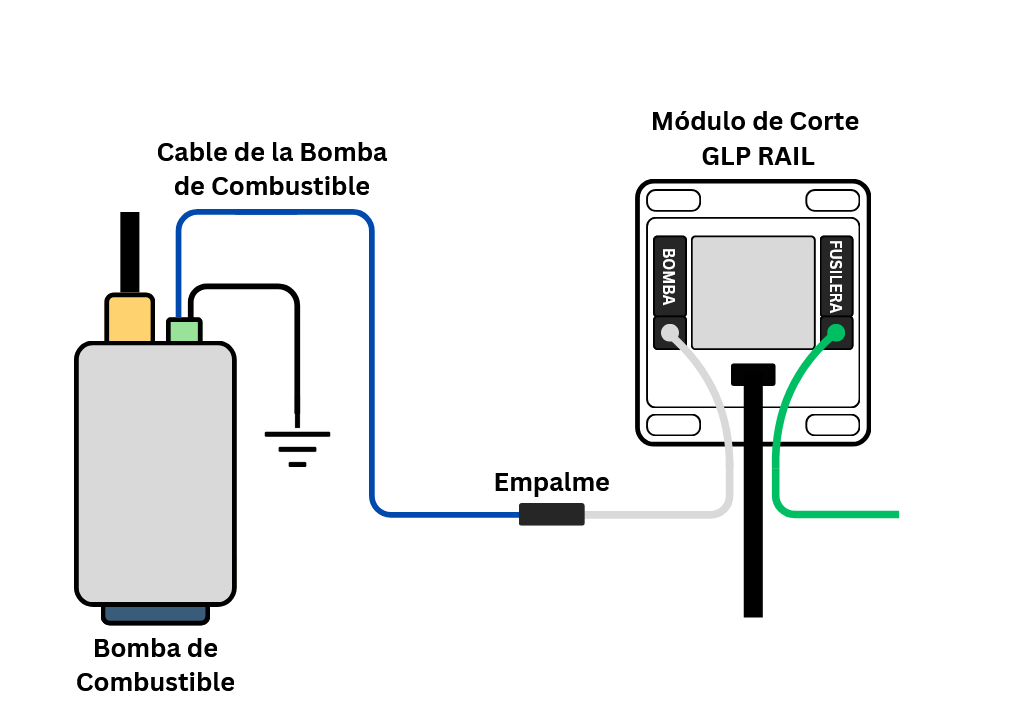 Paso 4