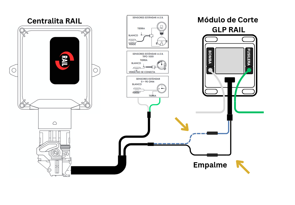 Paso 6